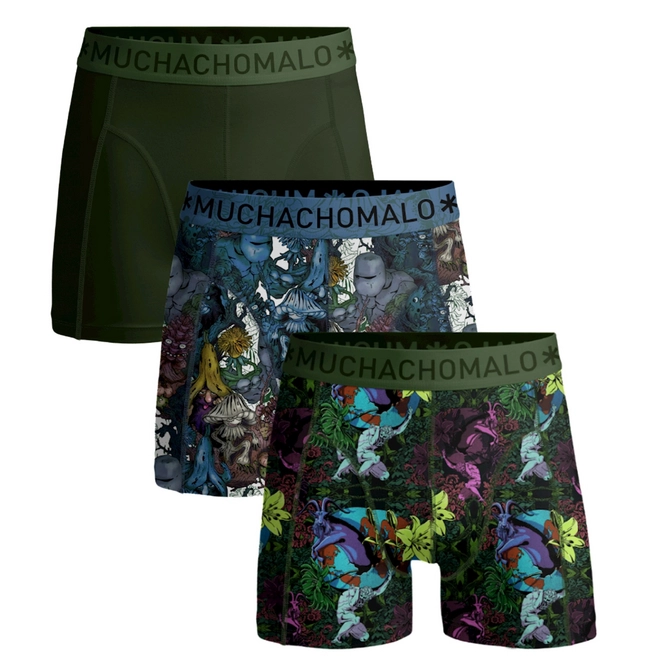 Boxer Shorts Muchachomalo Men Earth Elements Print Print Green (3-Pack)