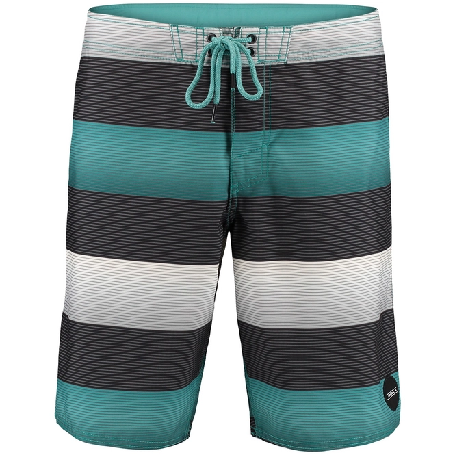 Swimming Trunks O'Neill Santa Cruz Stripe Black Blue