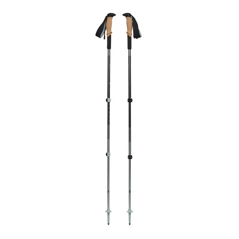 Pursuit Shock - Walking poles