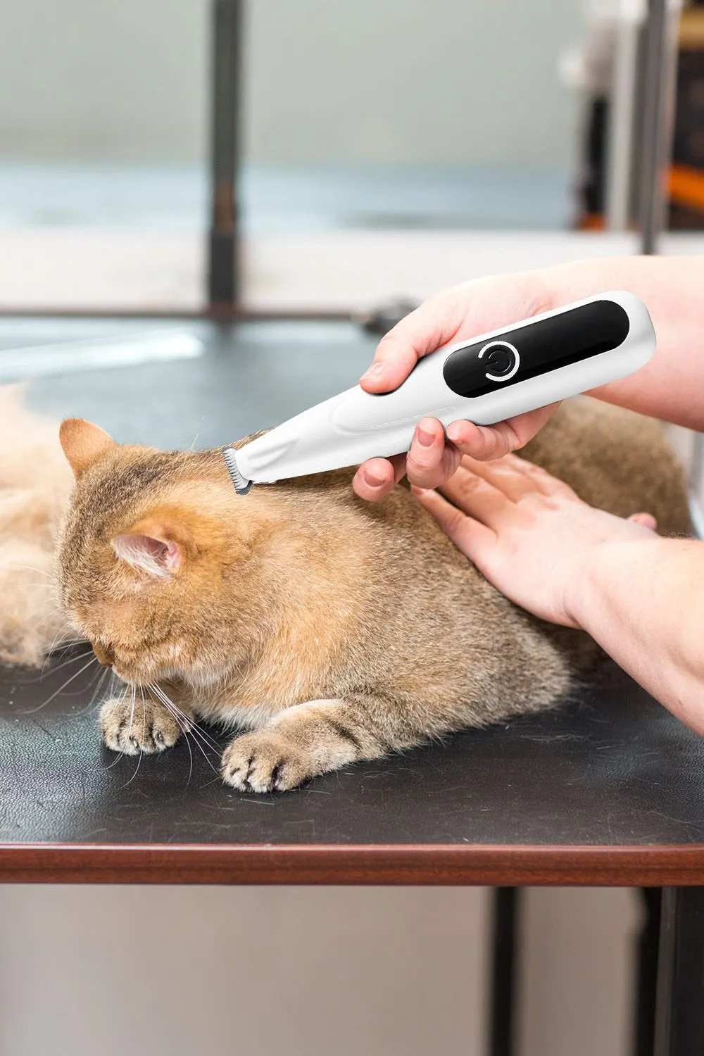 Rechargeable Hair Clipper with LED Light